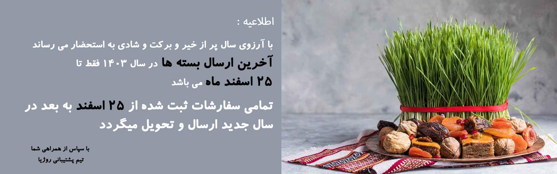 /images/thumbs/0049384_یاسل.jpeg