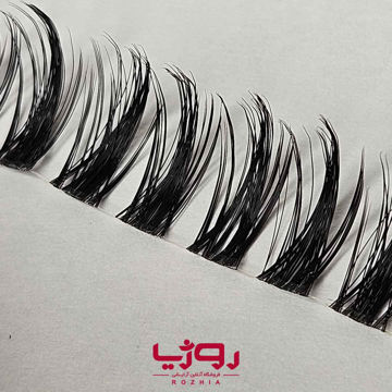 مژه ریسه ای فیشر مدل راشن