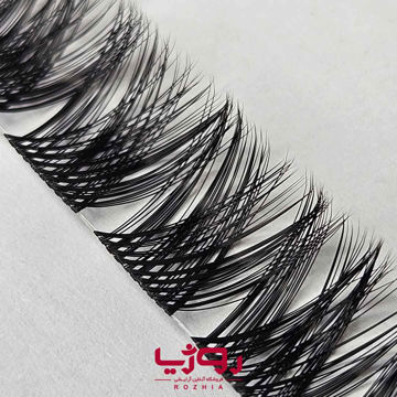 مژه ریسه ای مدل فیشر