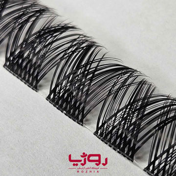 مژه ریسه ای مدل فیشر