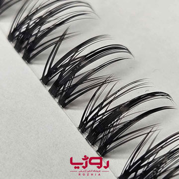 مژه ریسه ای فیشر مدل لوک