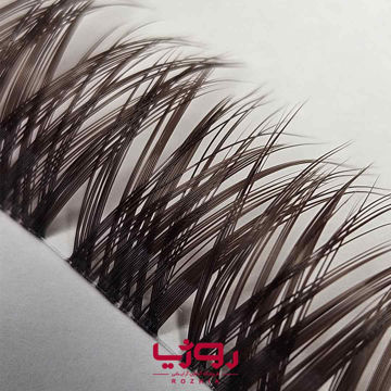 مژه ریسه ای فیشر فایر قهوه ای موکا