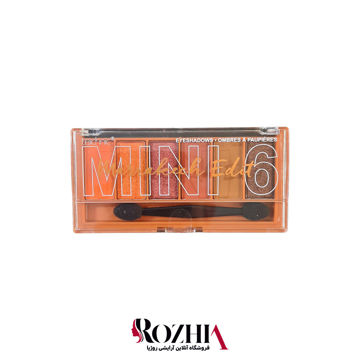 پالت سایه 6 رنگ تکنیک