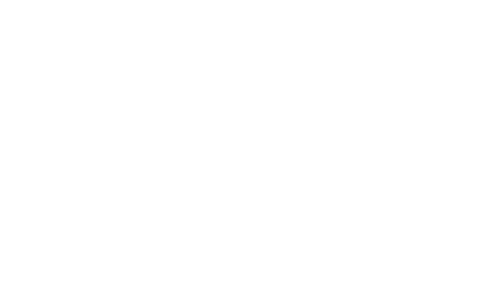 فروشگاه اینترنتی روژیا